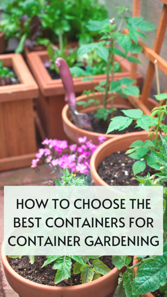 How To Choose The Best Containers For Container Gardening - It's Me Lady G