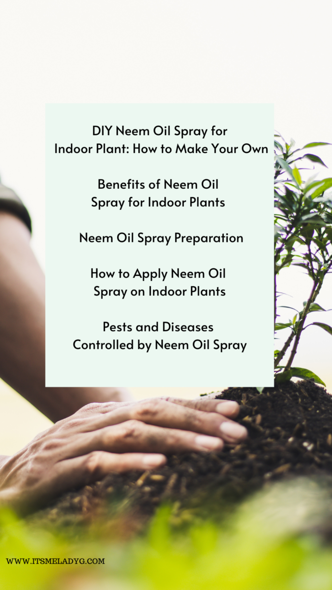 DIY Neem Oil Spray for Indoor Plant How to Make Your Own It's Me Lady G