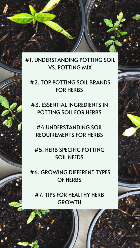 Best Potting Soil for Herbs Essential Guide for Healthy Growth It's