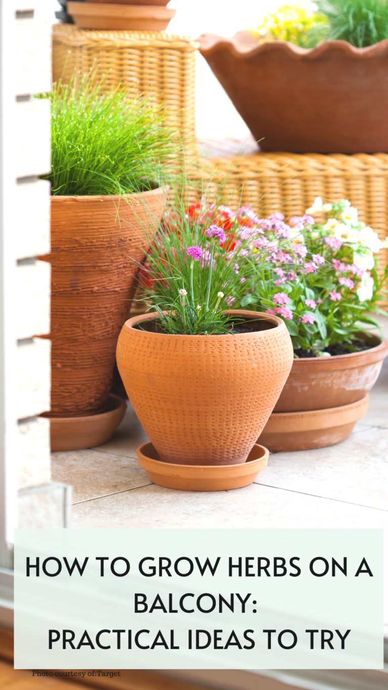 How To Grow Herbs On A Balcony: Practical Ideas To Try - It's Me Lady G