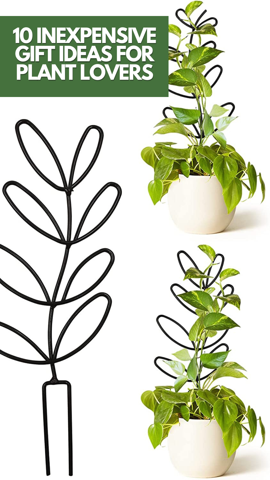 Gifts For The Plant Lover-2021 — Go French Yourself