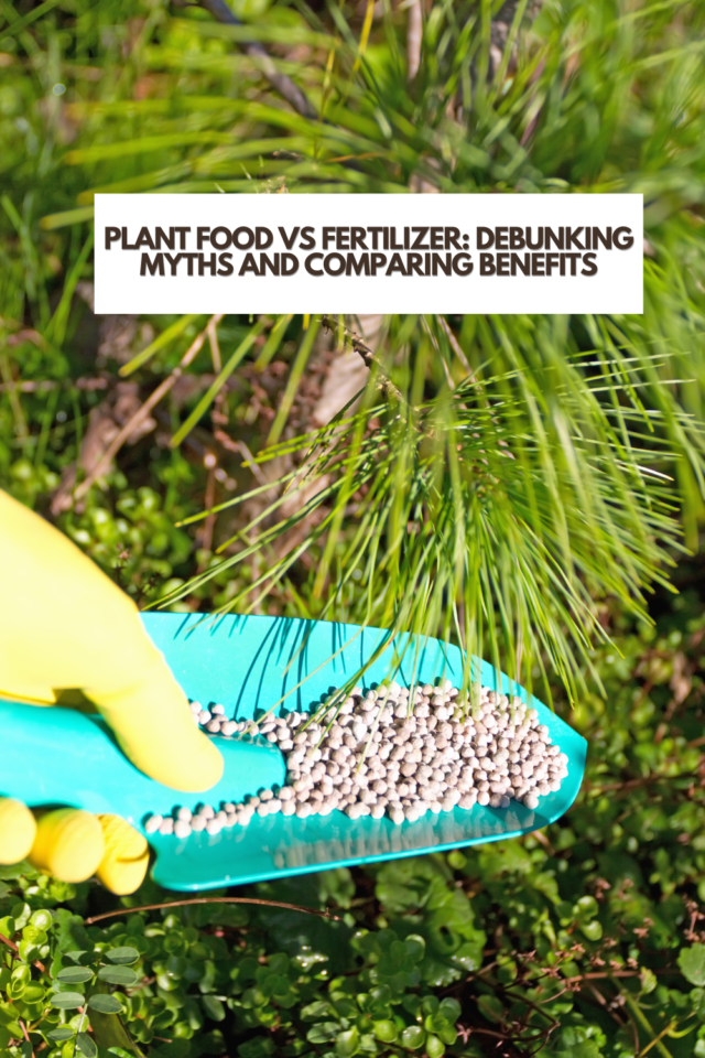 Plant Food vs Fertilizer Debunking Myths and Comparing Benefits It's